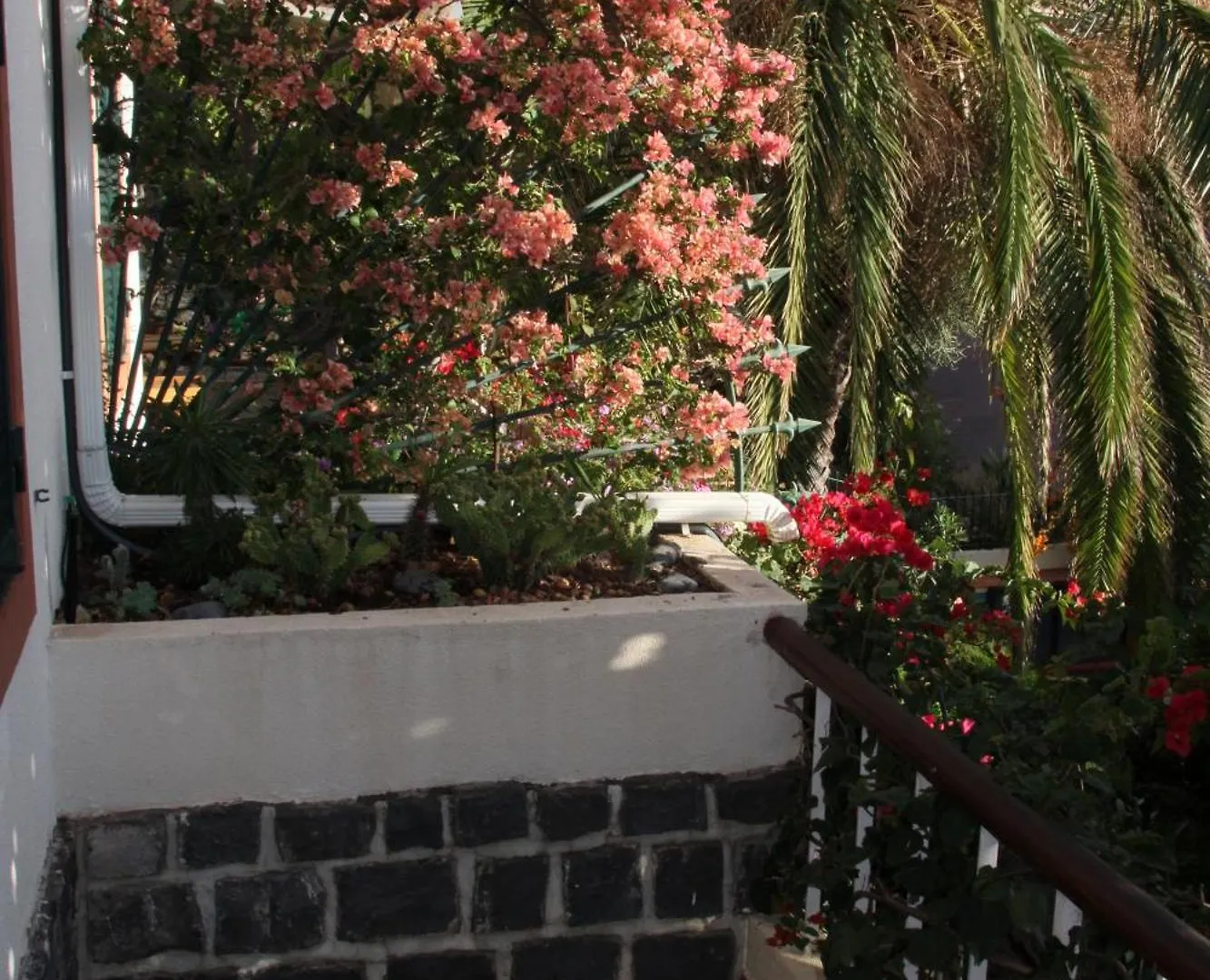 Vila Calaca Funchal  Villa