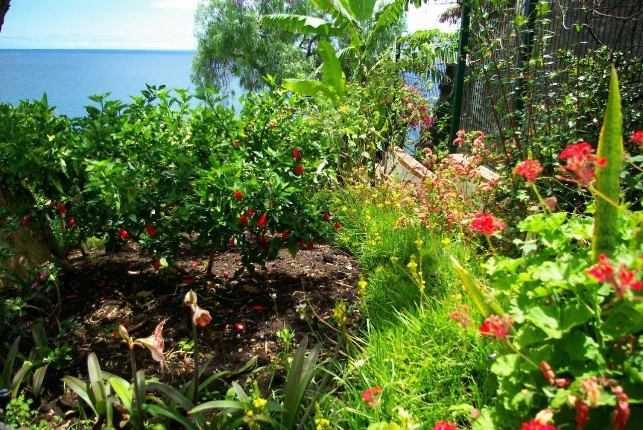 Villa Vila Calaca Funchal
